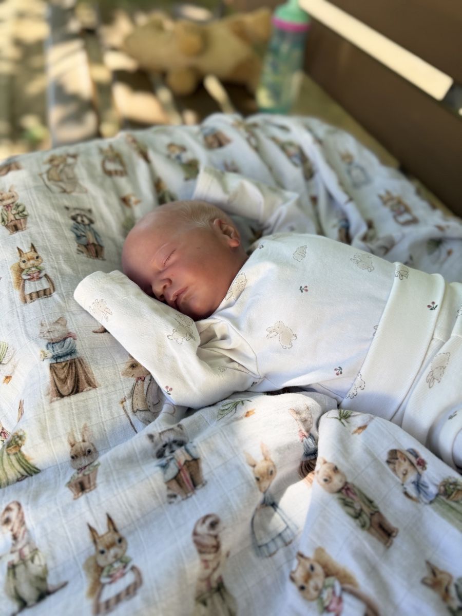 Reborn Puppen: Reborn – Neu (gemäss Beschreibung) aus Unterentfelden von van_m8g7 6