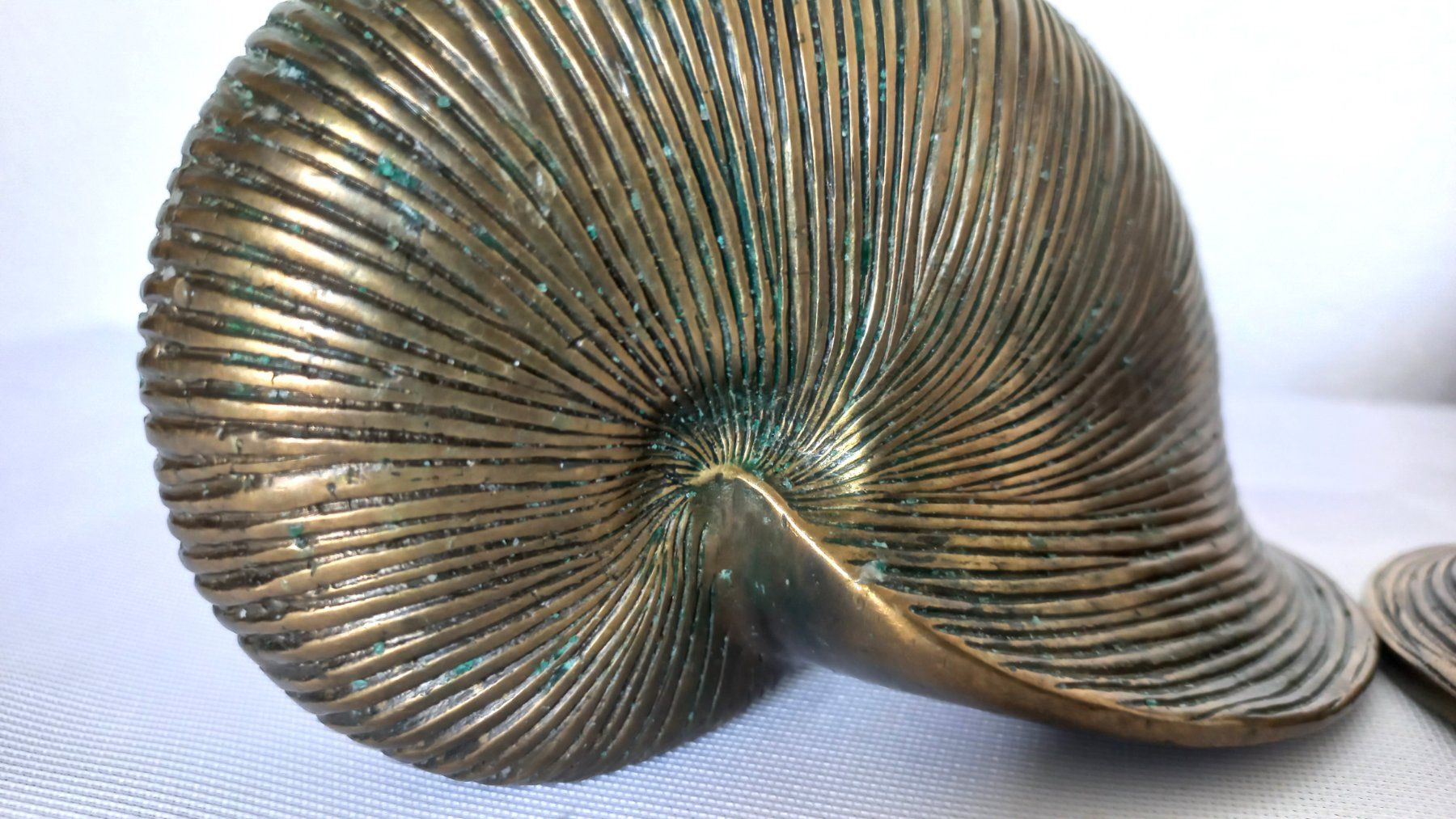 Portacandele: Antike Kerzenständer Nautilusmuschel 2er Set, Messing – Usato da Bévilard venduto da Orscha 2
