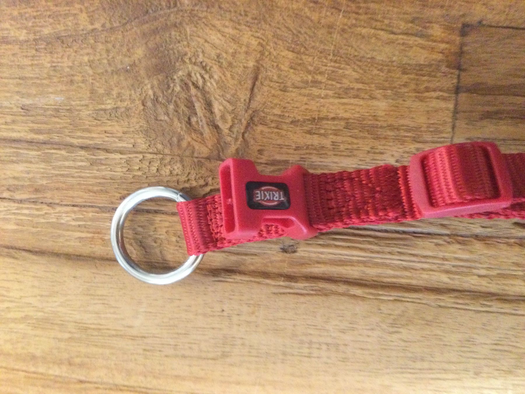 Nastri decorativi: Hundehalsband rot – Usato da Holderbank SO venduto da argokim 1