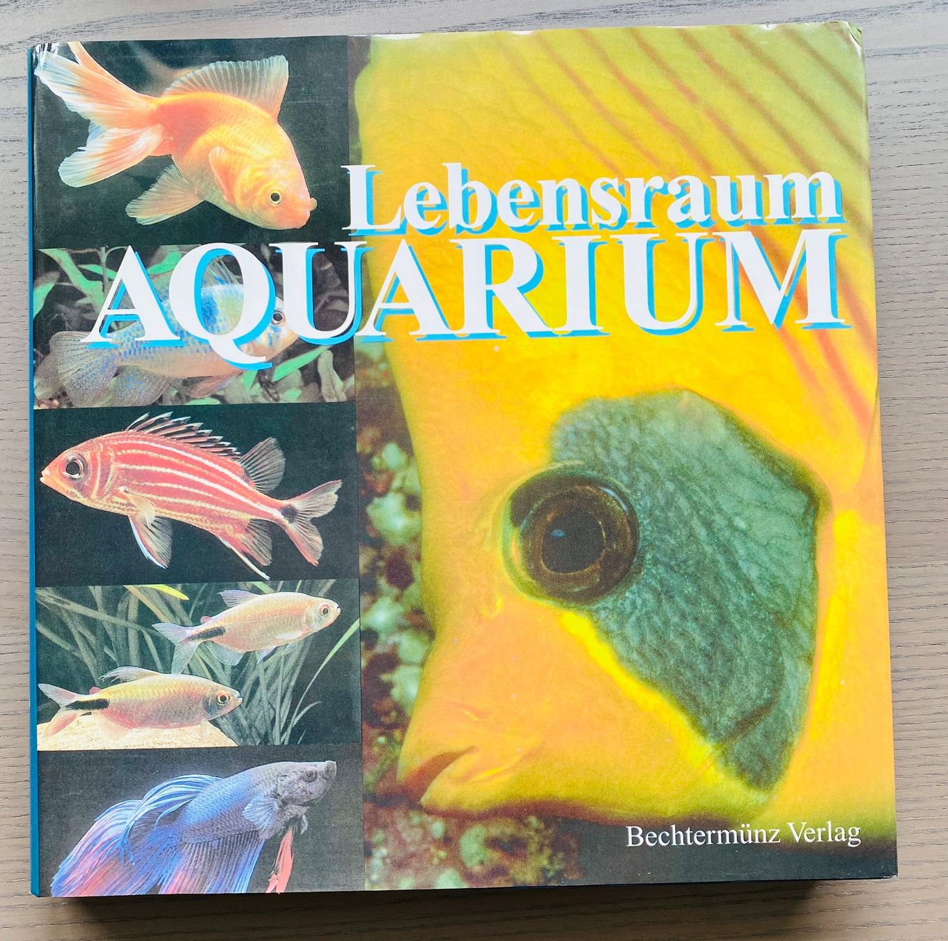 Libri: Buch "Aquarium" – Usato da Reichenburg venduto da Noxima