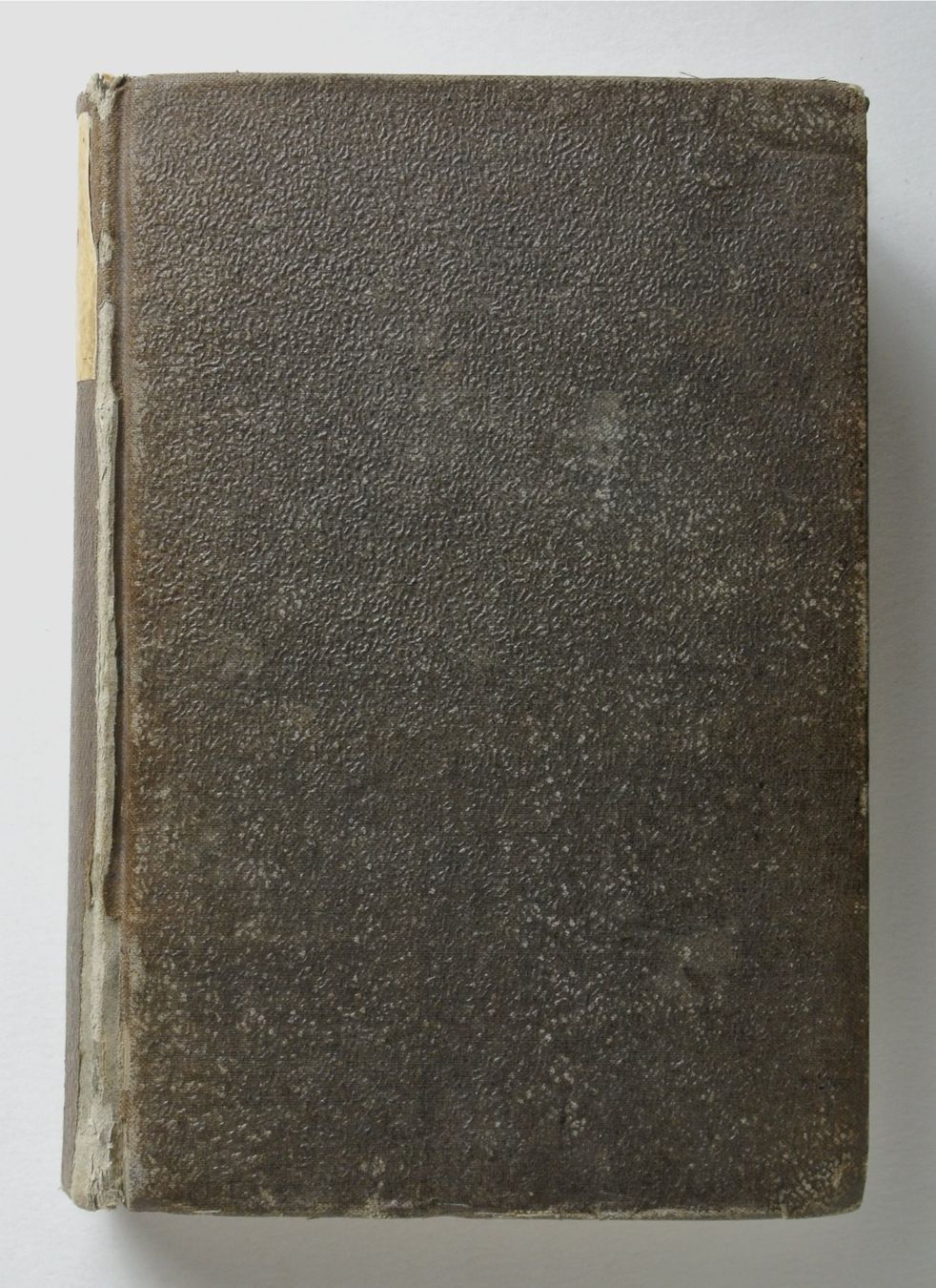 Libri: Moritzi, A. Die Flora der Schweiz, mit besonderer – Usato da Erschwil venduto da taglang 4