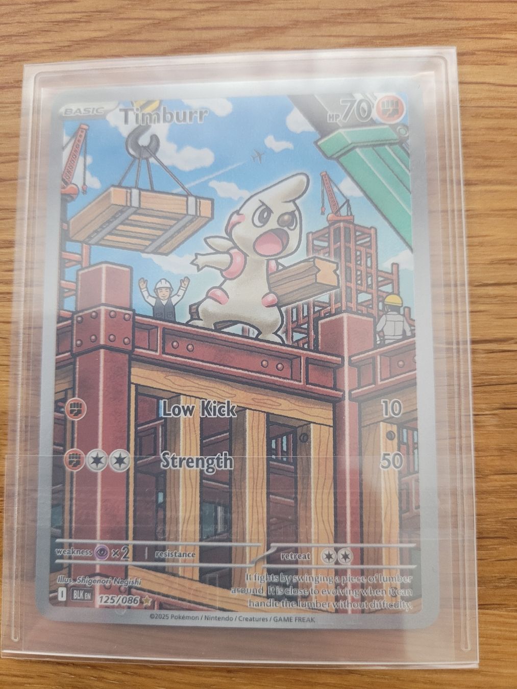 Pokémon Carte collezionabili: Pokémon Timburr EN – Nuovo (secondo la descrizione) da Brunnen venduto da Schlumpf018