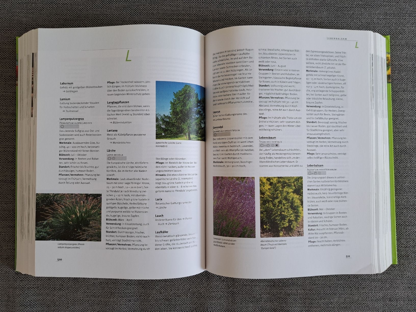 Livres: Garten Lexikon Joachim Mayer  – Neuf (Voir description) à Jona par cel_s8jx 3