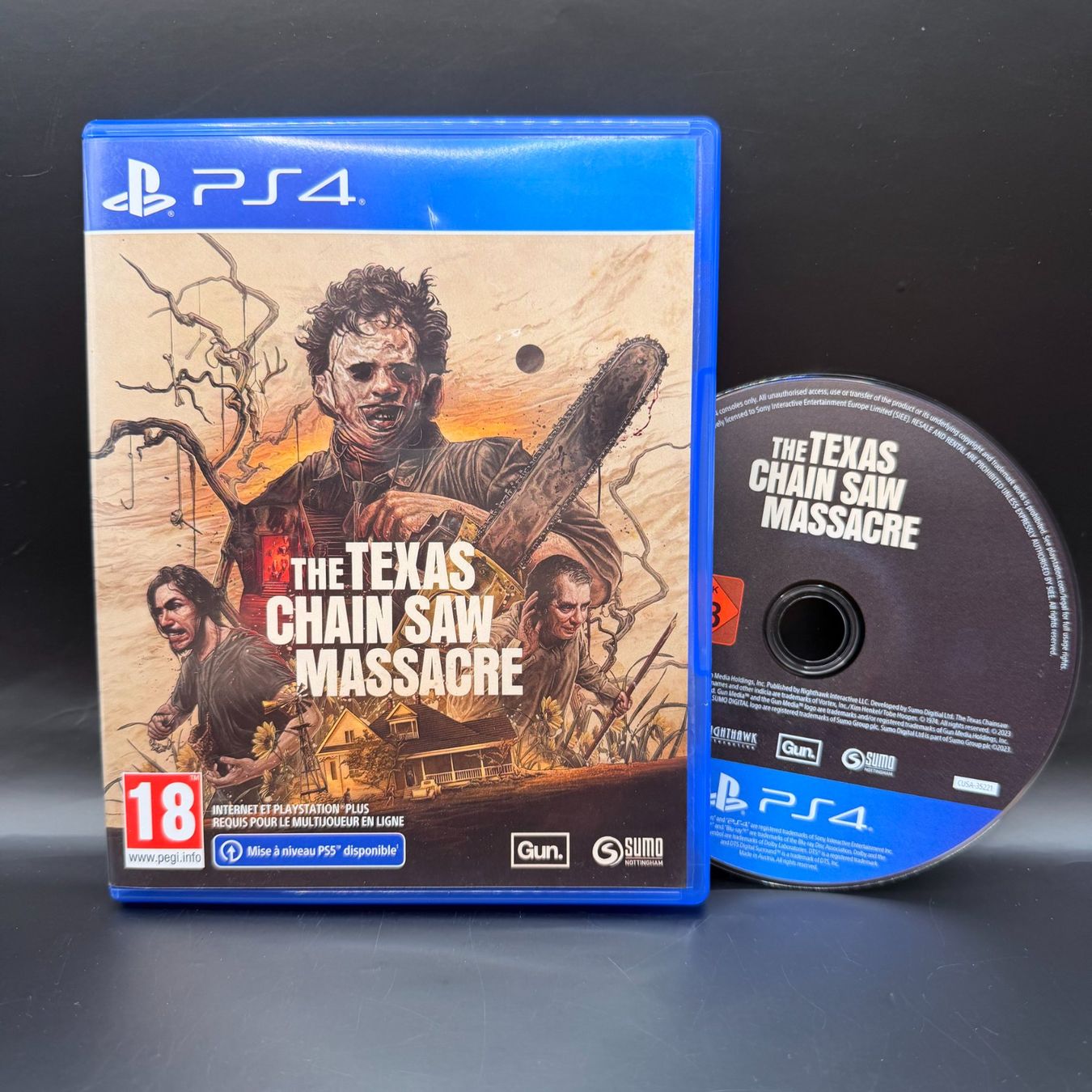 Sony Giochi: The Texas Chain Saw Massacre Playstation 4 – Usato da Düdingen venduto da Nerdworld