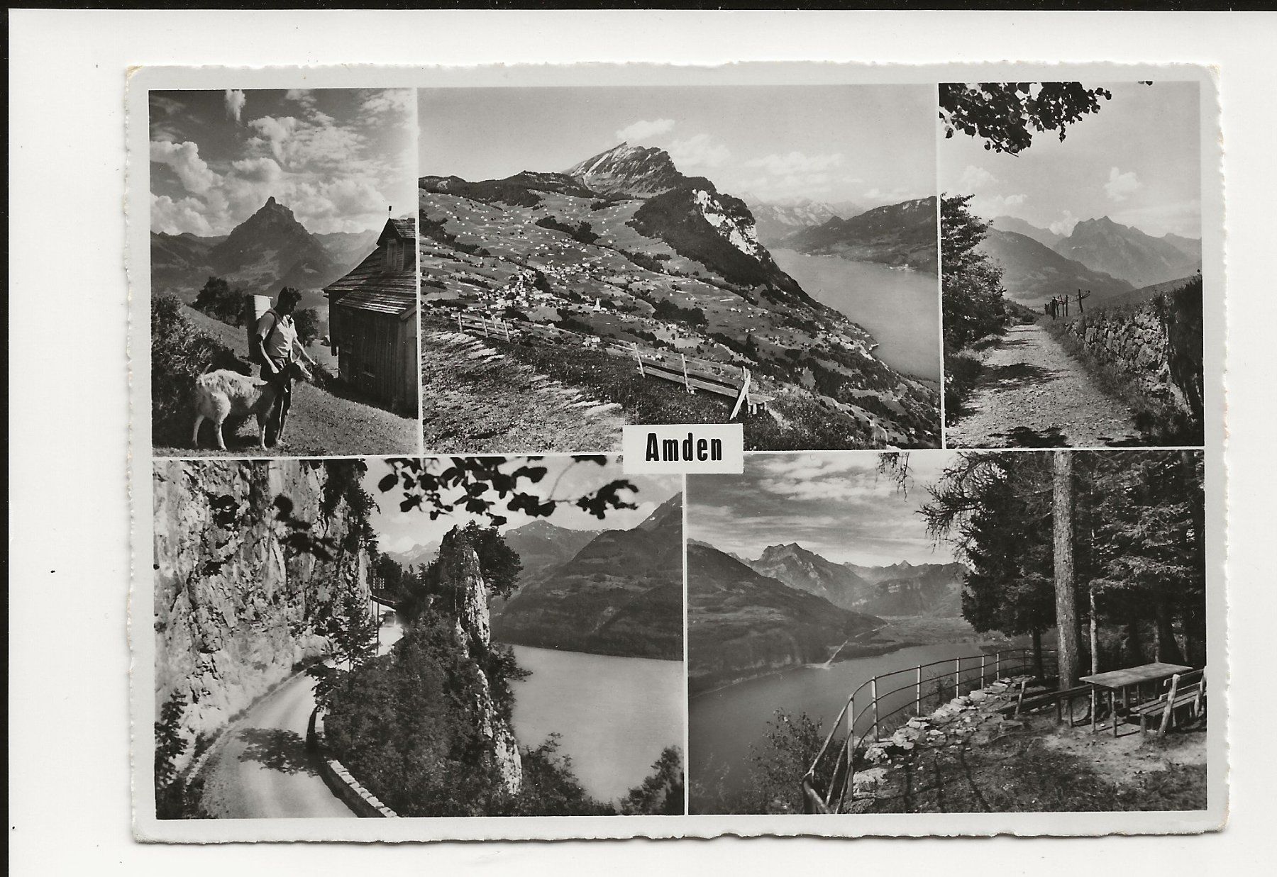 Ansichtskarten: AK ca 1957 Amden SG – Gebraucht aus Greifensee von 315WDO