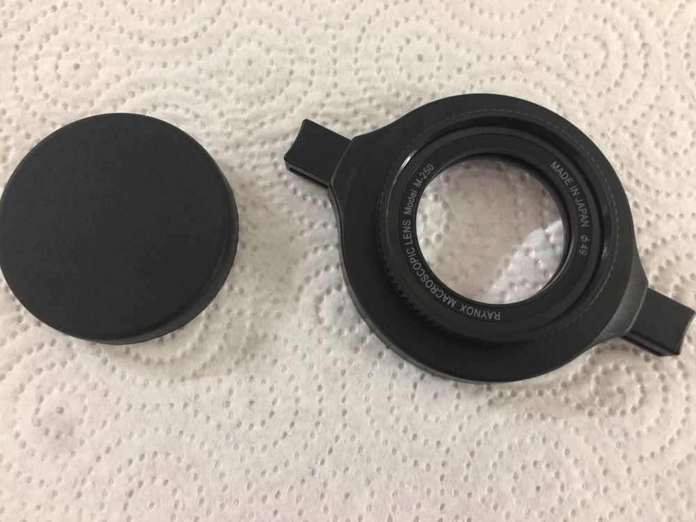 RAYNOX MACROSCOPIC LENS MODEL M250 Kaufen auf Ricardo