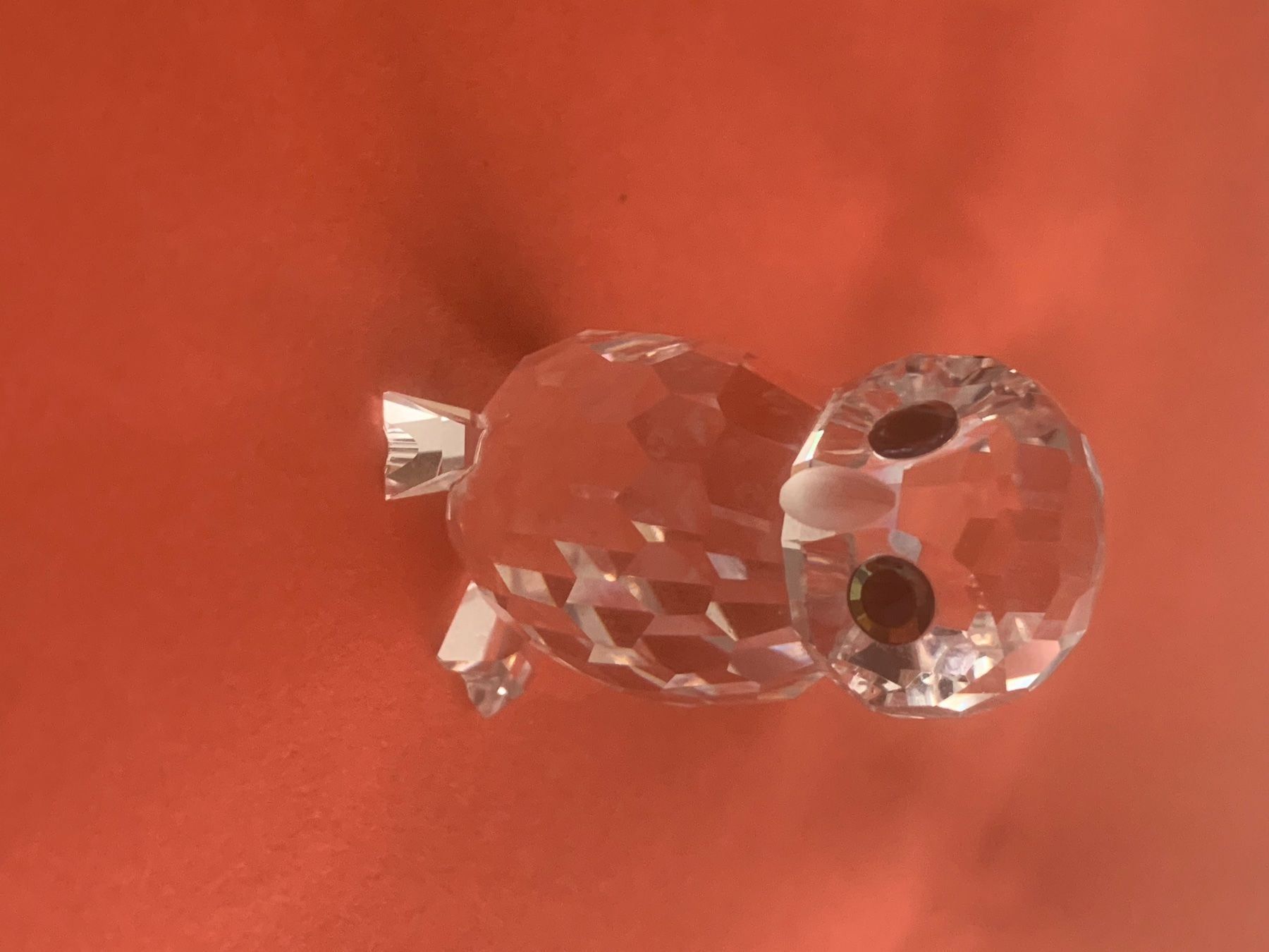Swarovski Statuette: Swarovski Eule – Nuovo (secondo la descrizione) da Oberglatt ZH venduto da Multimix 4