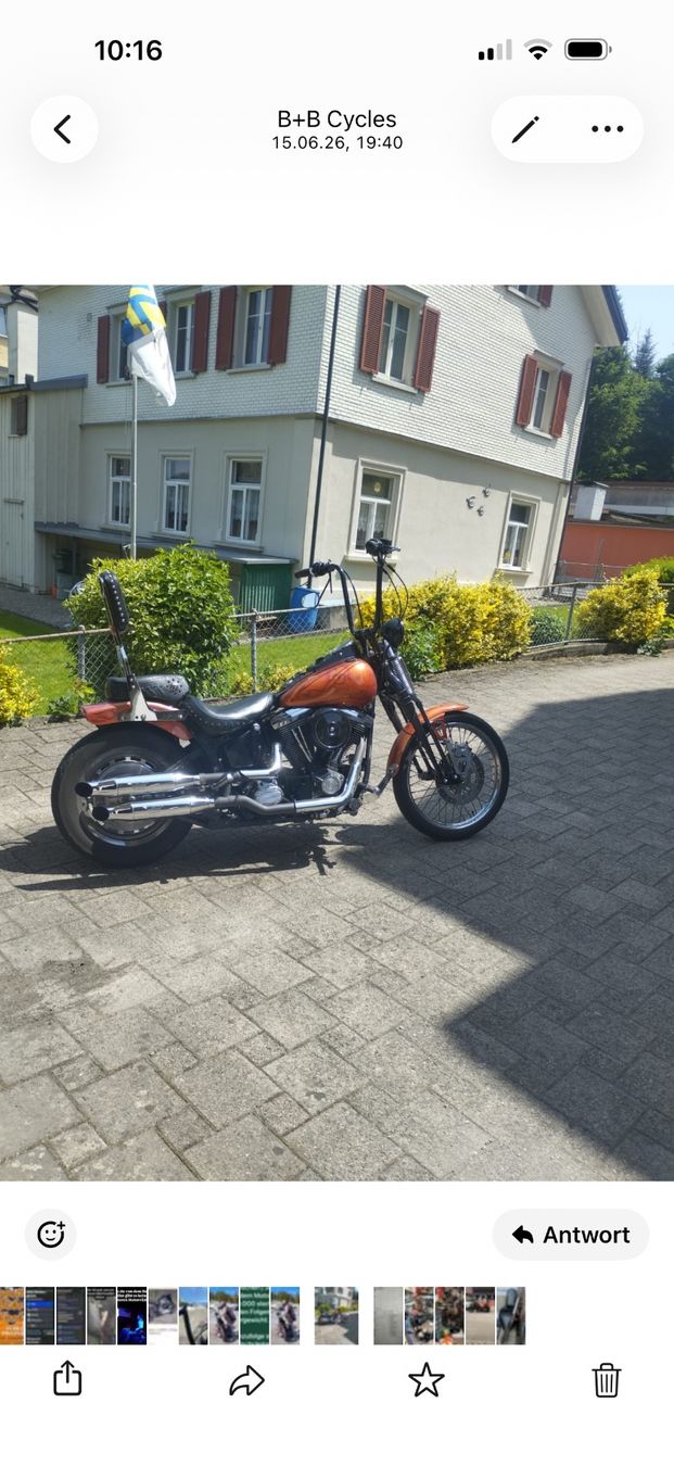 Cruisers: Harley-Davidson Springer – D'occasion à Hünenberg par Harywood