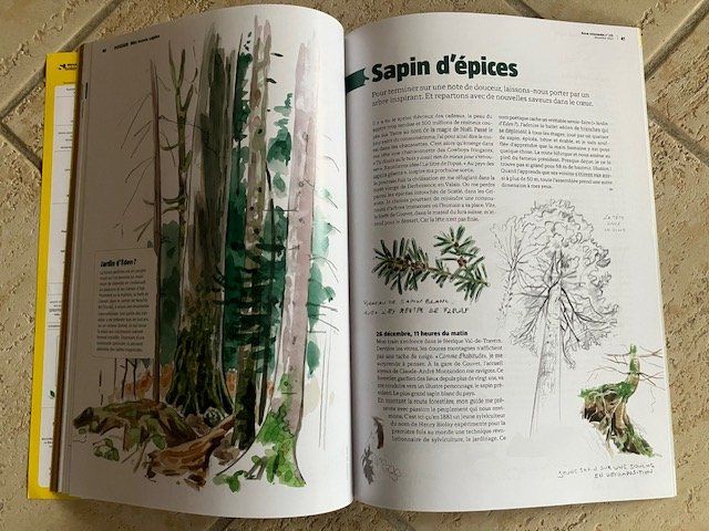 Riviste & Magazine: Revue La Salamandre - les sapins – Usato da Les Ponts-de-Martel venduto da Jolisa 1