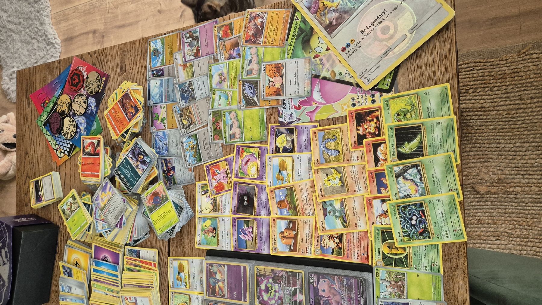 Pokémon Carte collezionabili: Pokemon über 3000 Karten – Usato da Bönigen venduto da Roriwang12 6