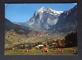AK Grindelwald Wetterhorn