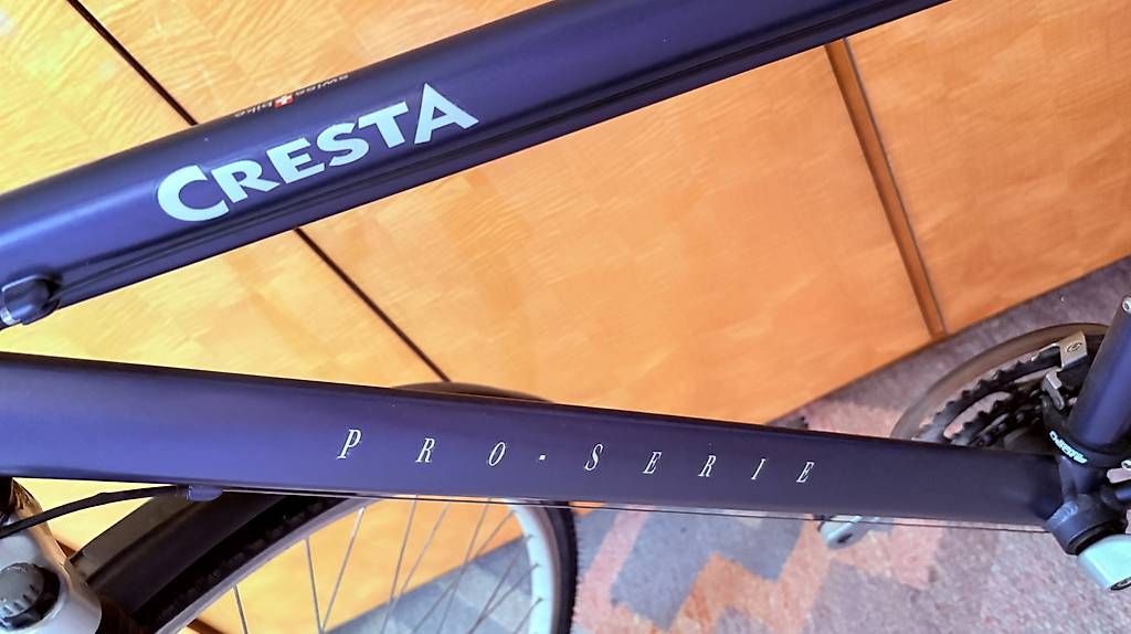 Cresta Biciclette: Cresta Swiss Trekkking Rad – Usato da Zeiningen venduto da lam_dph7 4