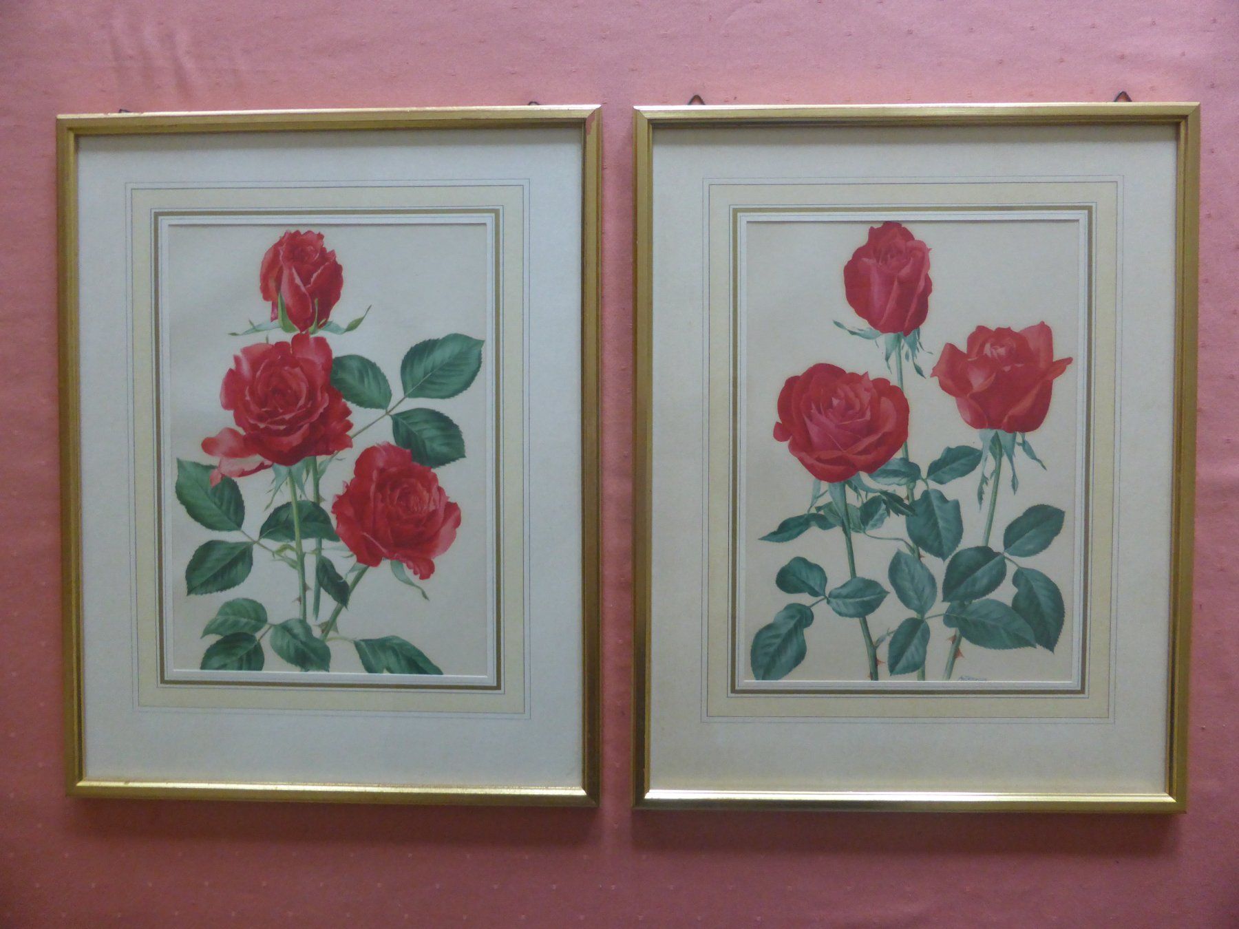 Foto & Immagini: 2 Rosenbilder, gerahmt, – Usato da Triengen venduto da Nussbaum14