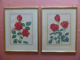 2 Rosenbilder, gerahmt,