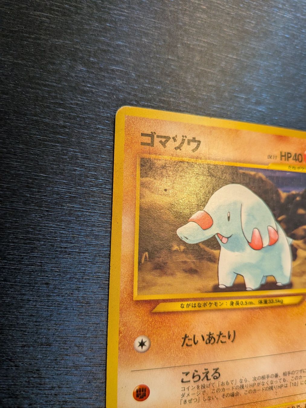 Pokémon Cartes à collectionner: 1999 Neo Genesis - Phanpy Jap Ab 1 – D'occasion à Paradiso par Pkmn10 2