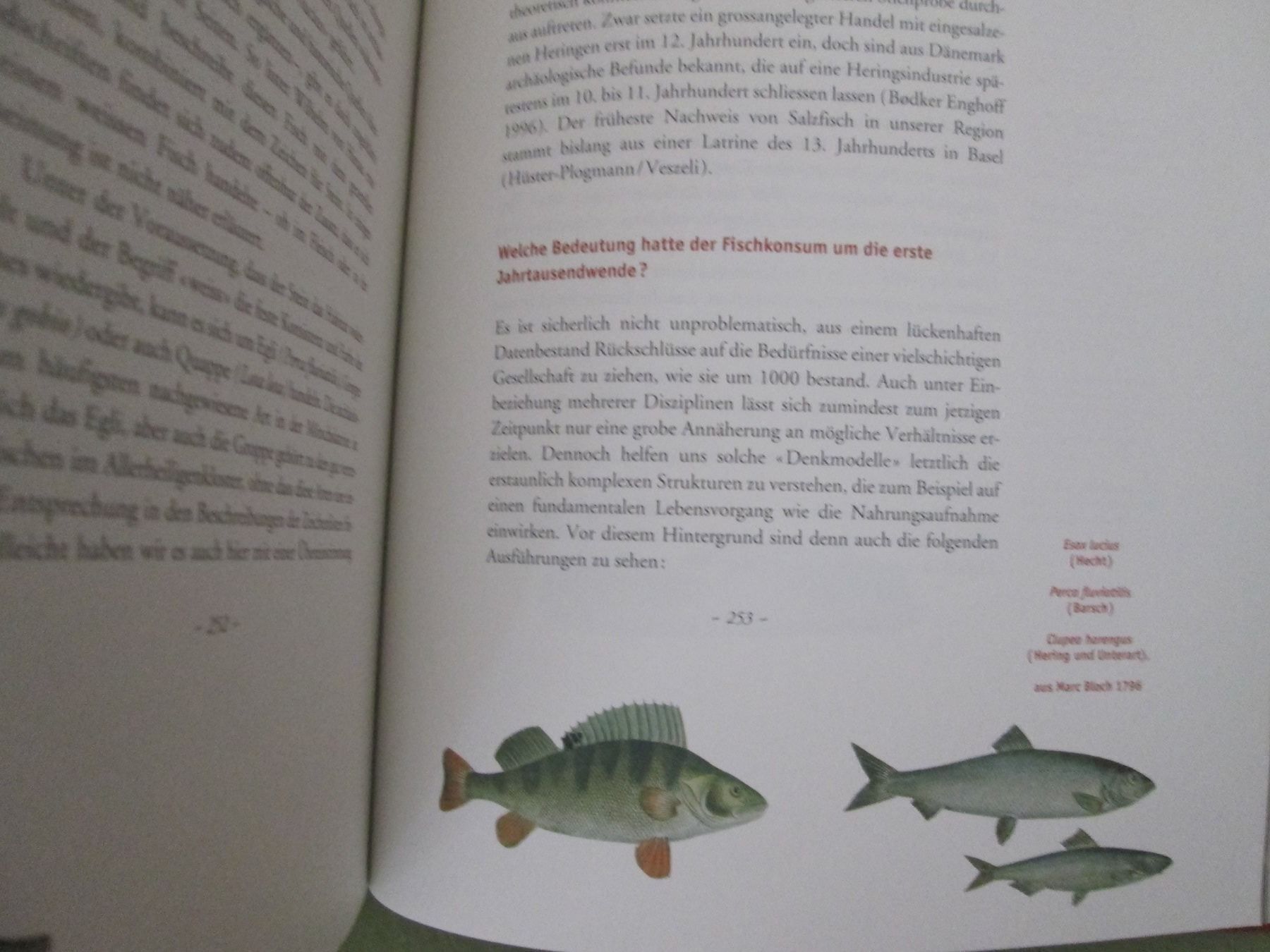 Libri: Gesellschaft und Ernährung um 1000 – Usato da Neuchâtel venduto da Dualseele 5