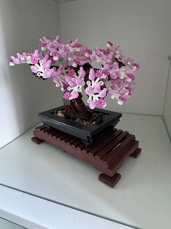 Lego Kit di costruzioni: LEGO Bonsai Baum 10281 komplett, Deko Set – Usato da Solothurn venduto da jolly_vrs