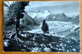 Riederalp - Aletschgletcher 1947