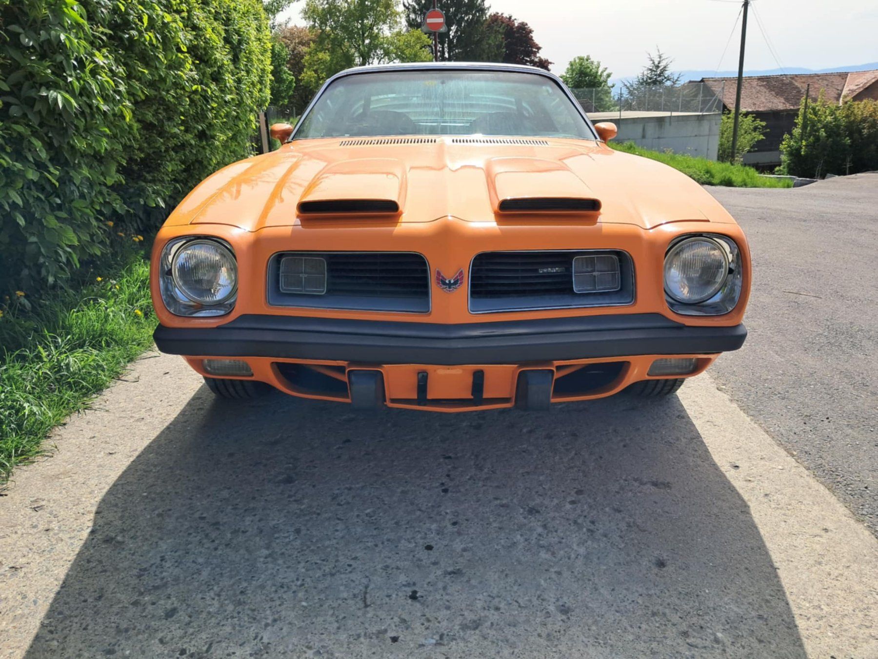Pontiac Automobili: '75 Pontiac Formula 400 matching – Usato da PRILLY venduto da 55b_nh8l 2