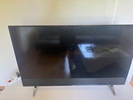 MEDION Fernseher gebraucht 50 Zoll mit HDMI Anschlüssen