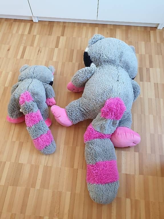 Giocattoli: Waschbär gross und klein – Usato da Wil SG venduto da Drop4 1