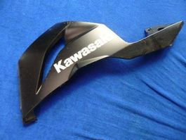 Kawasaki ZX-6R / 2014 Seitenschale links