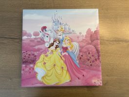 Disney Prinzessin Wandbild, Leinwandbild