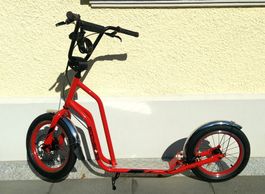 Professionelles Trottinett, Kickboard