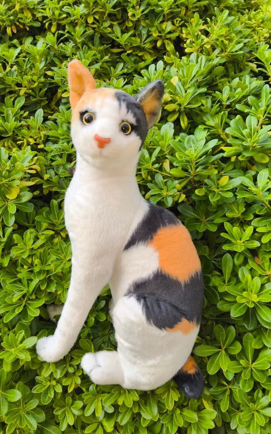 Giocattoli: Plüsch  Katze – Nuovo (secondo la descrizione) da Castagnola venduto da Cat-WomenX 5