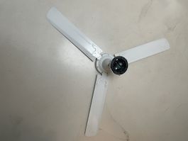 Deckenventilator