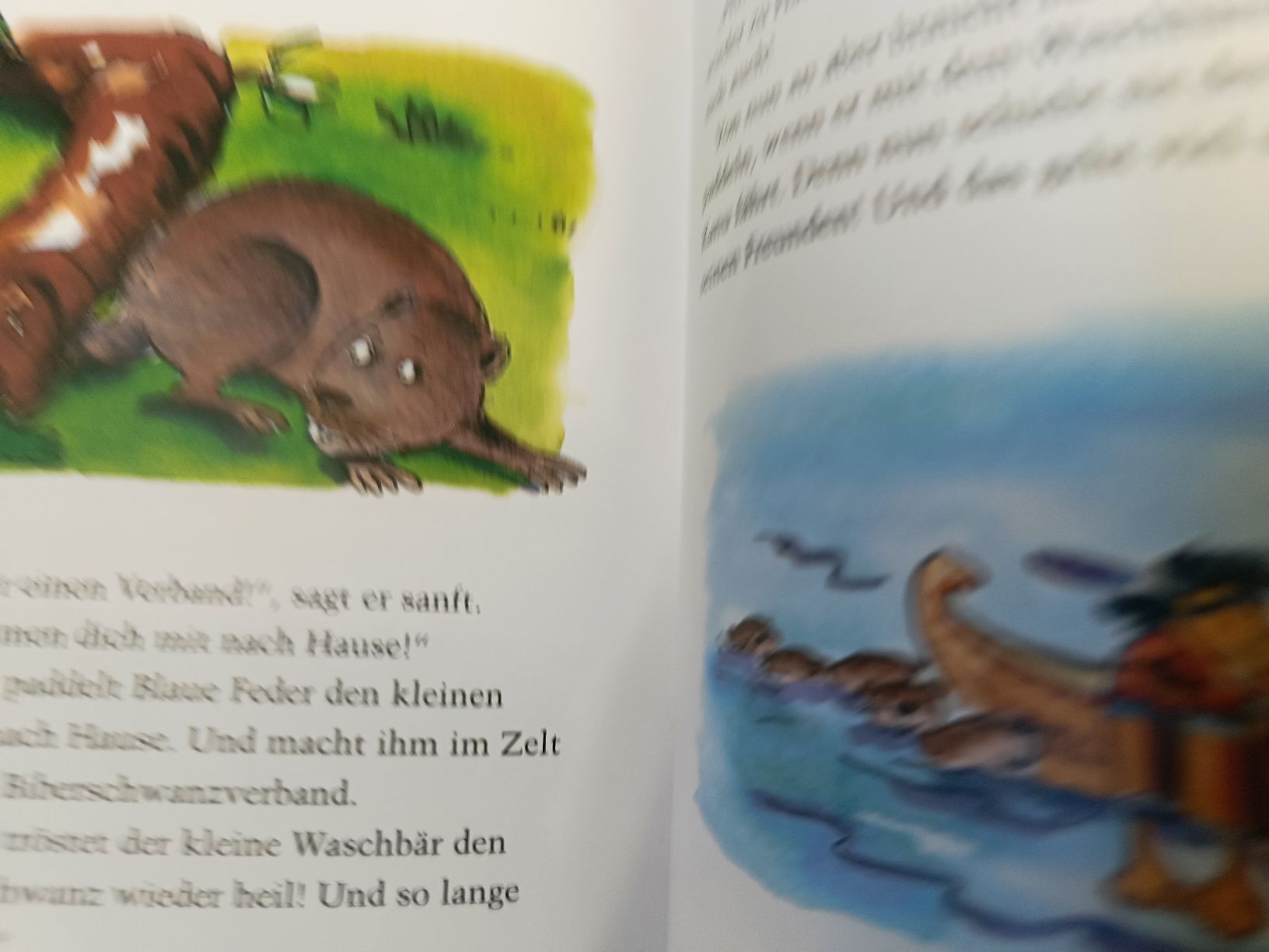 Libri: Die Sternenschaukel – Usato da Ehrendingen venduto da Cheronimo2 2