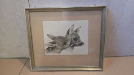 Wunderschöne Zeichnung Rehkitze,.18.6cmx23.6cm