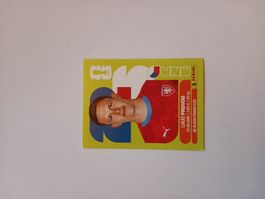 Panini 2026 Tschechien