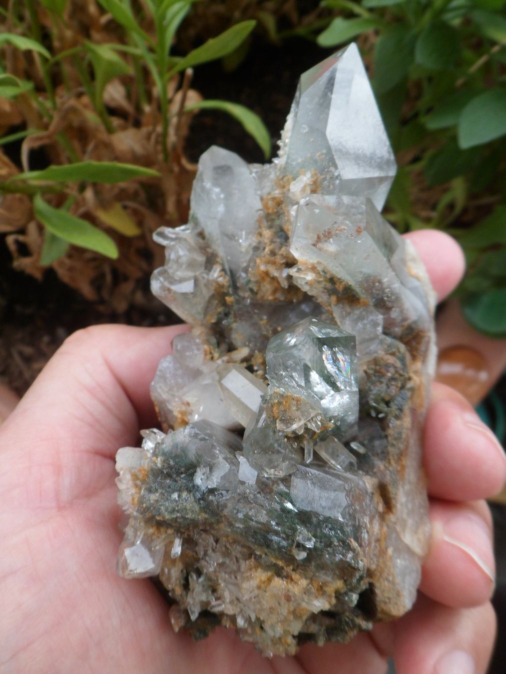 Minerali & Pietre curative: Bergkristall Schweiz – Nuovo (secondo la descrizione) da Affoltern am Albis venduto da Fossil60 5