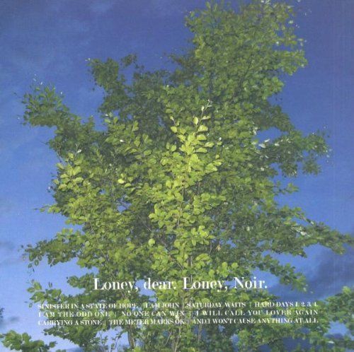 CD: Loney, dear - Loney,Noir – Usato da Altdorf UR venduto da boardsofcanada