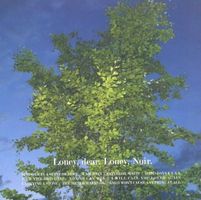 Loney, dear - Loney,Noir