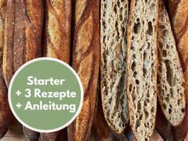 historischer Sauerteig aus der Provence, 230+ Jahre