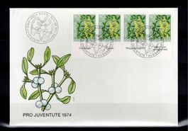 CH FDC Pro Juventute Satz 1974