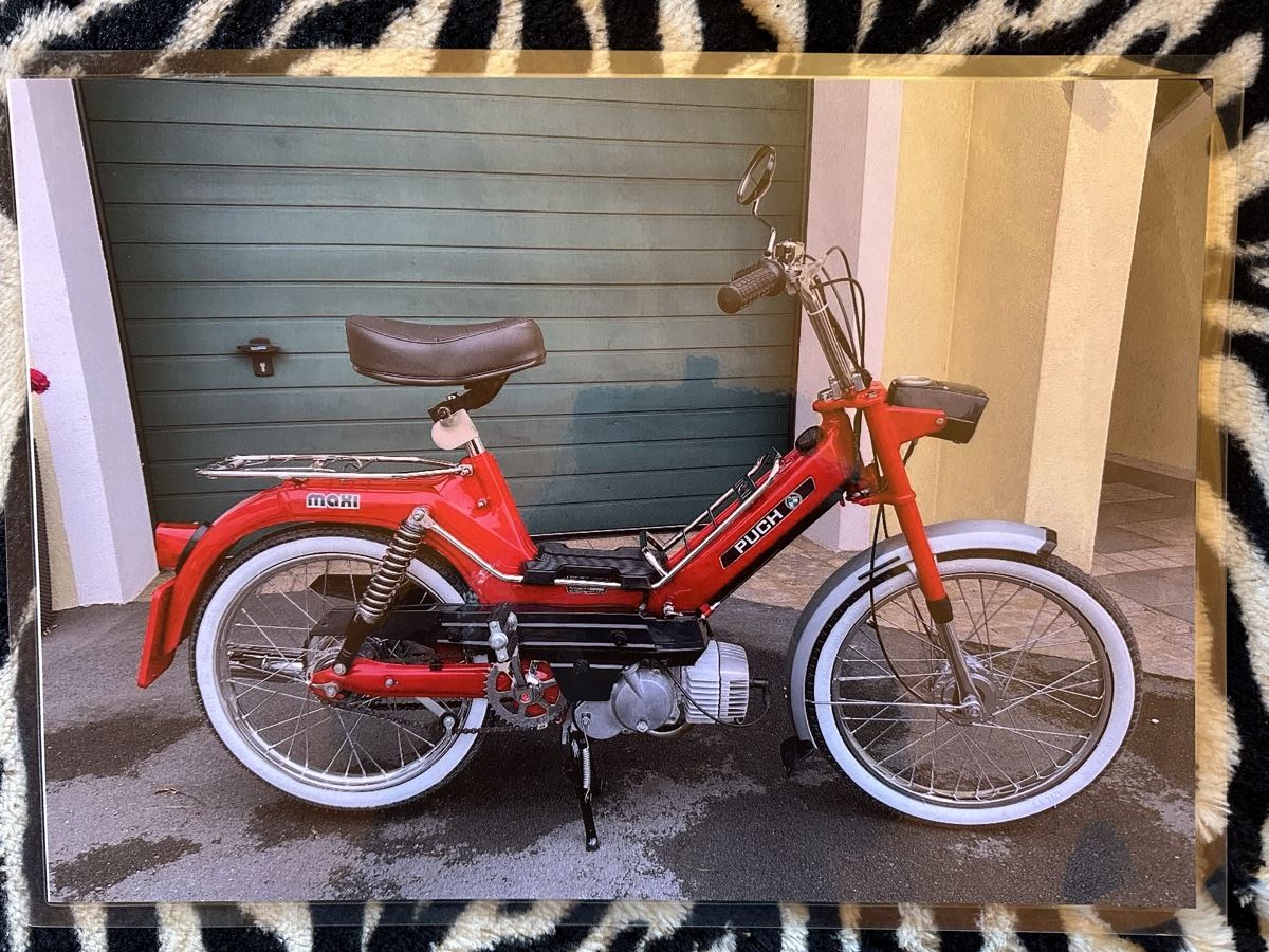 Foto & Immagini: Puch maxi s Mofa töffli  – Nuovo (secondo la descrizione) da Reinach AG venduto da rares75
