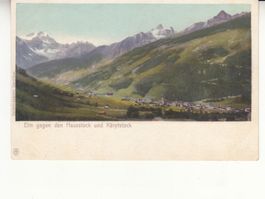 Elm ca. 1910
