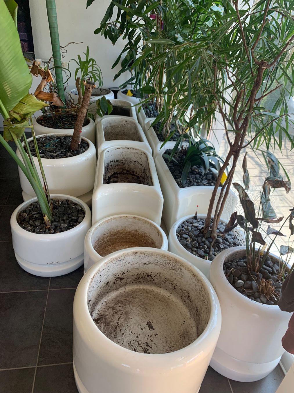 Colani Pots de fleurs: Colani Pflanztrog – D'occasion à Pfyn par superlusche1