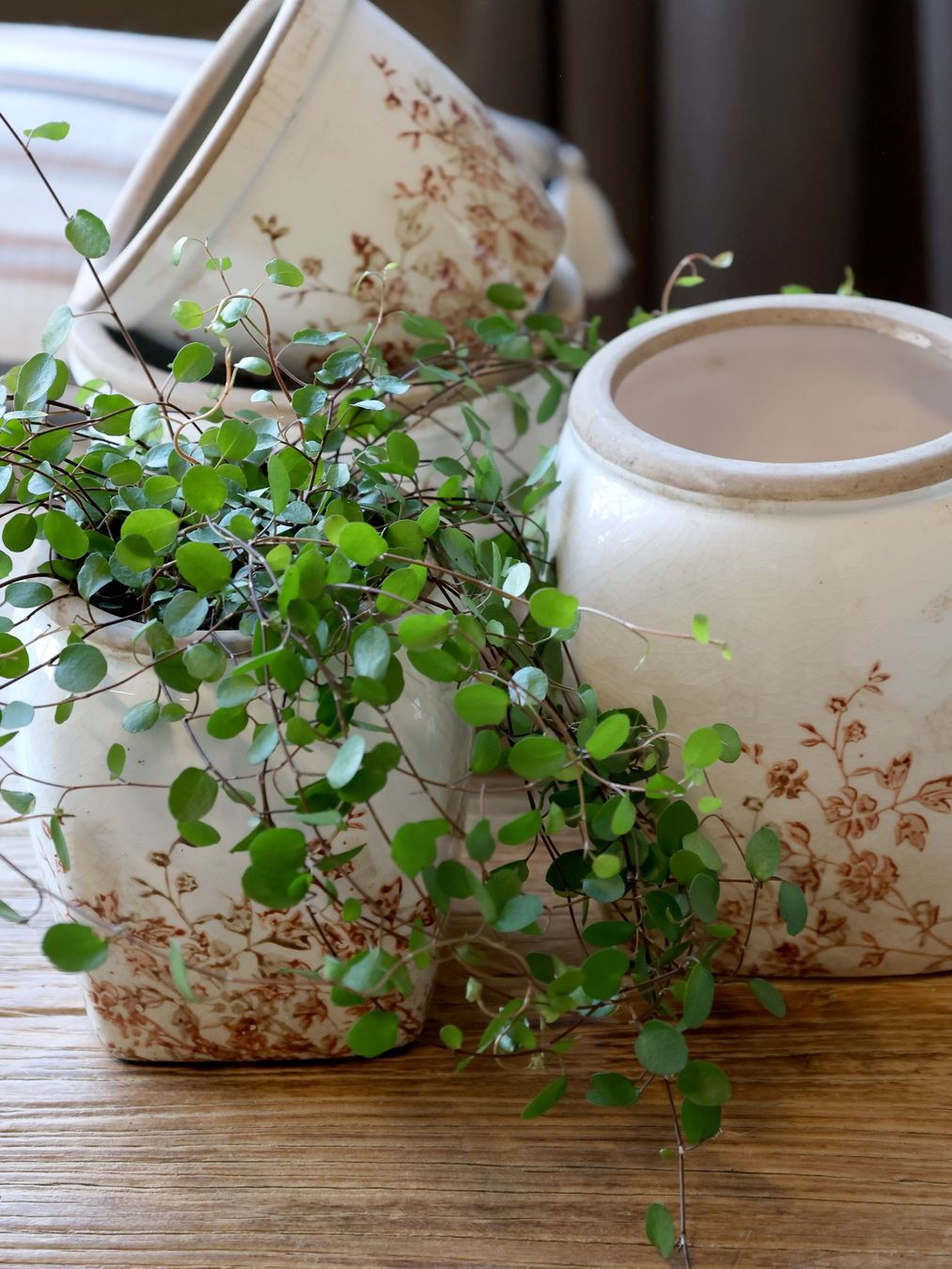 Vasi per fiori: Übertopf "Chaville", Höhe 15 cm, Chic Antique – Nuovo e nell'imballaggio originale da Innertkirchen venduto da Glatthard-Interior 1