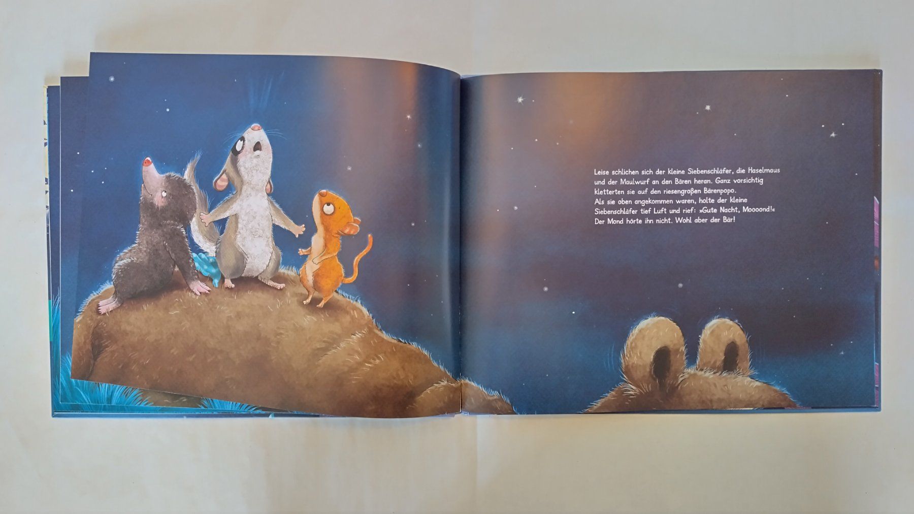 Libri: Die Geschichte vom kleinen Siebenschläfer der dem Mond.... – Usato da Bellach venduto da JingleJerry 4