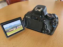 Canon EOS 600D Body