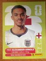 Panini ENG6