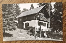 Mont Soleil, Berg-Frei, Amis de la Nature, St. Imier