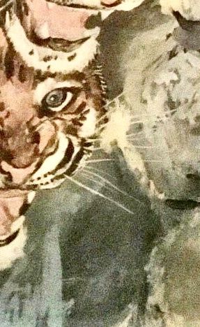 Foto & Immagini: Vintage Tigerbild – Usato da Schlieren venduto da Jeajet 3