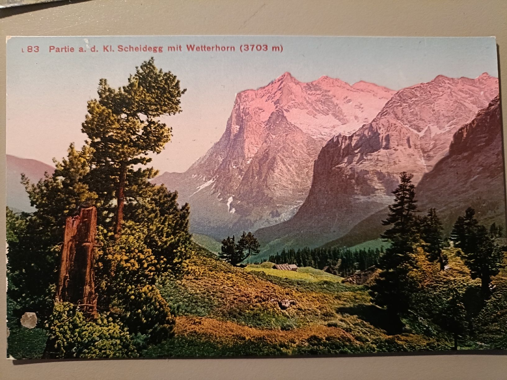 Cartoline postali: Antike Ansichtskarten, Kl. Scheidegg, Wetterhorn, Top! – Nuovo (secondo la descrizione) da Sargans venduto da Polifemo58 2