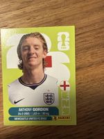 Panini Fifa ENG 15
