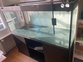 Terrarium (150x60x60 cm) + passender Kasten